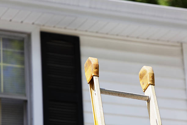 Best Hoarding Cleanup  in Ainaloa, HI